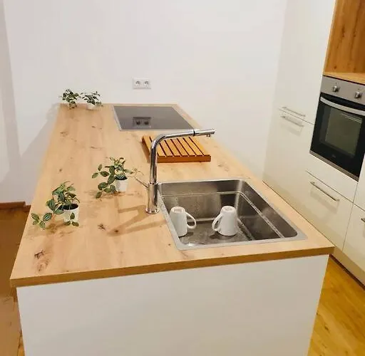 Leon 3 Wunderschoenes Neues * 林茨